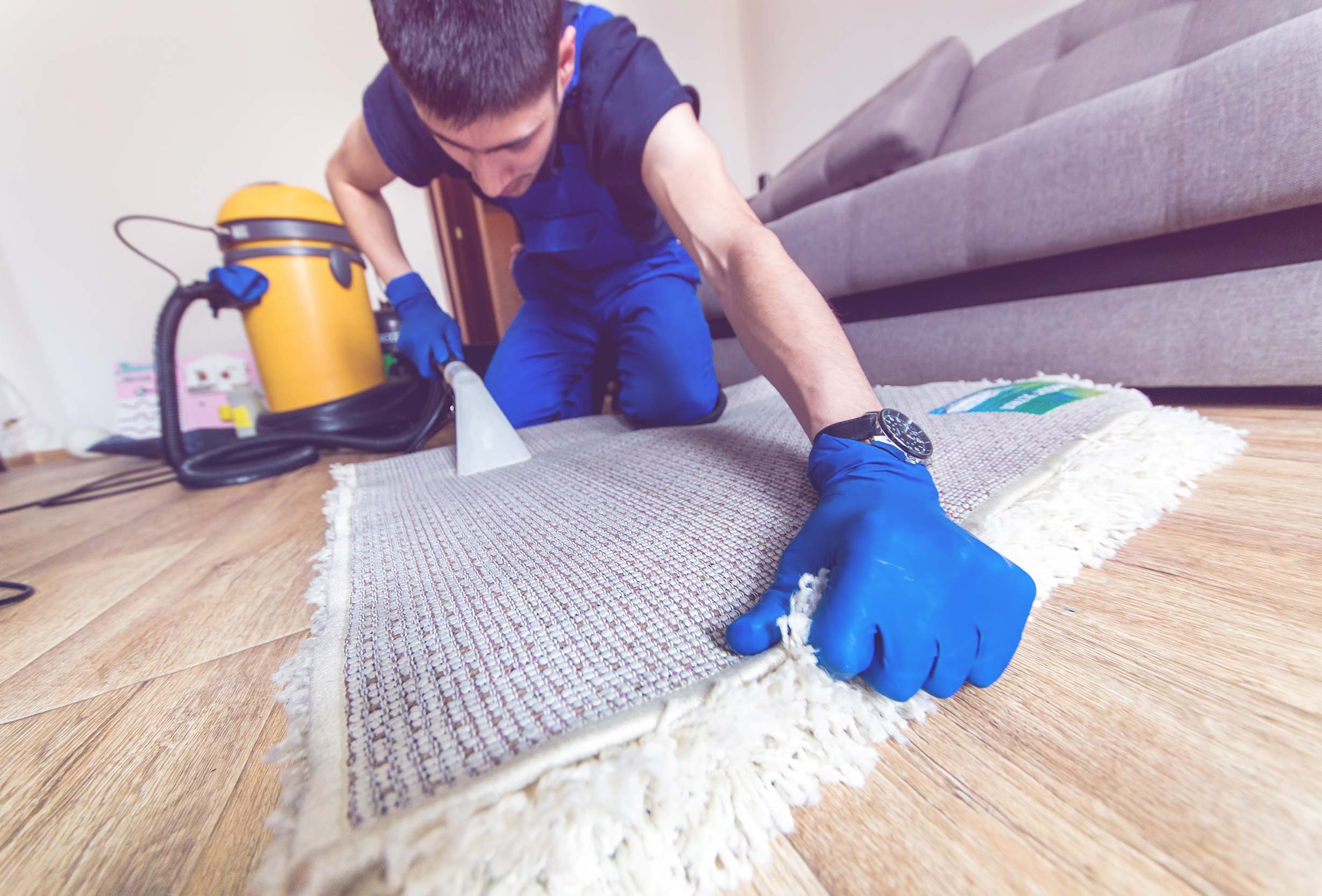 Quote example: Carpet Cleaning Quote Template