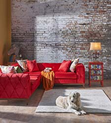 Stylish custom made velvet couch in lounge room