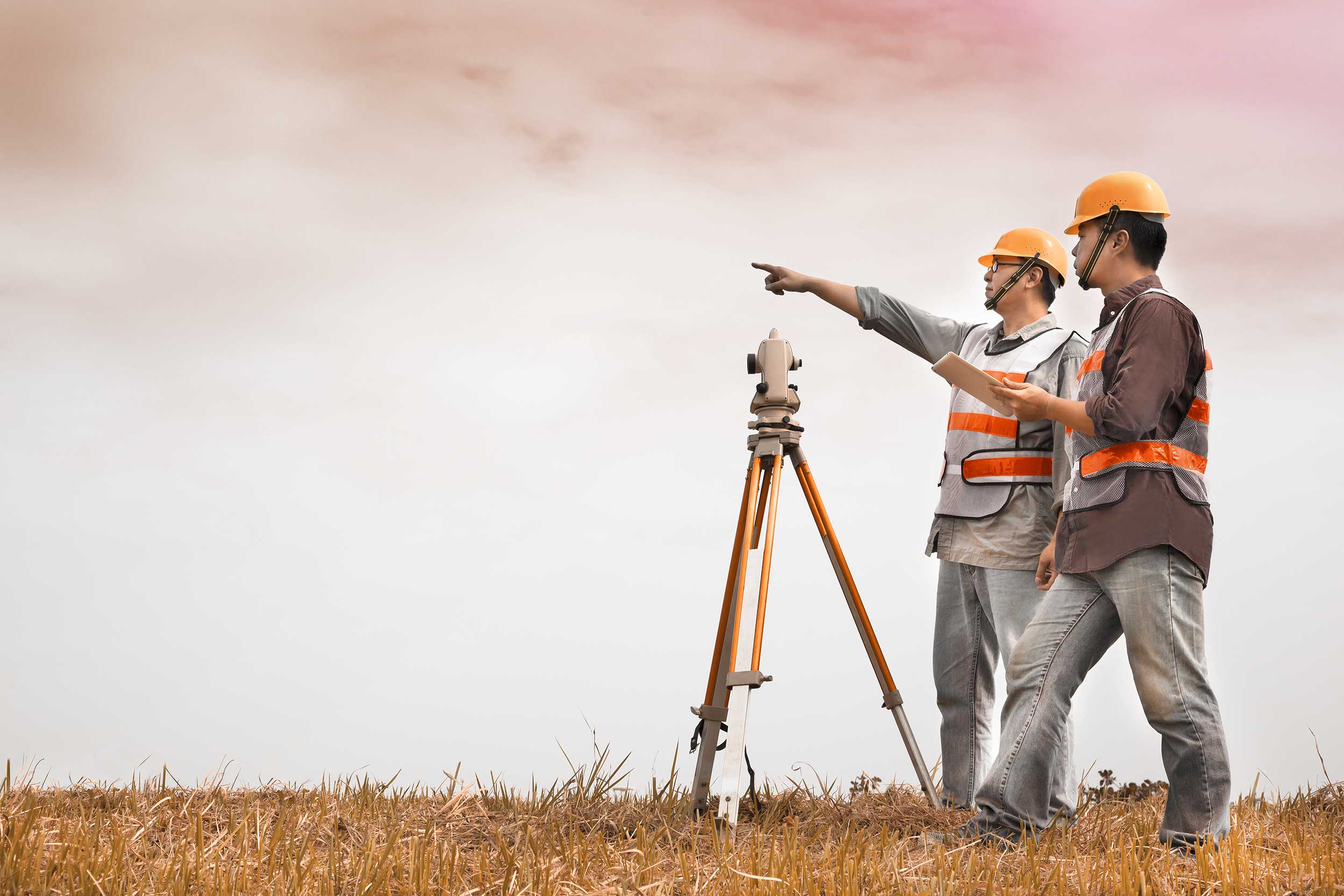 Land Surveying Quote Template Quotient