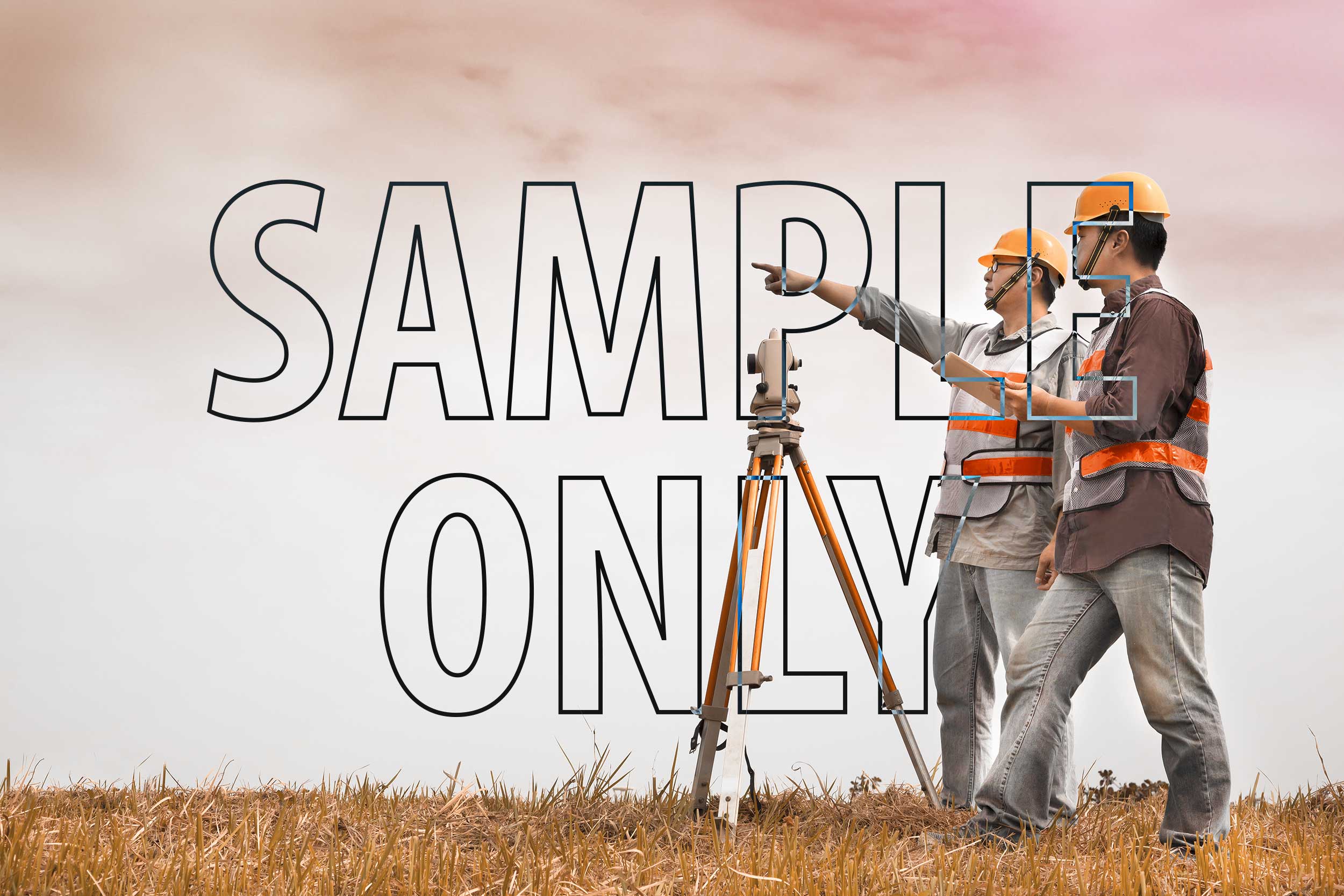 Land Surveying Quote Template Quote Examples Quotient