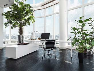 Bright, modern office with stylish plants and shrubs throughout