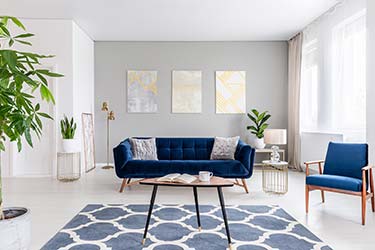 Stylish interior design featuring luxurious royal blue velvet lounge suite with matching lounge chair, both upholstered in the same color but different fabric