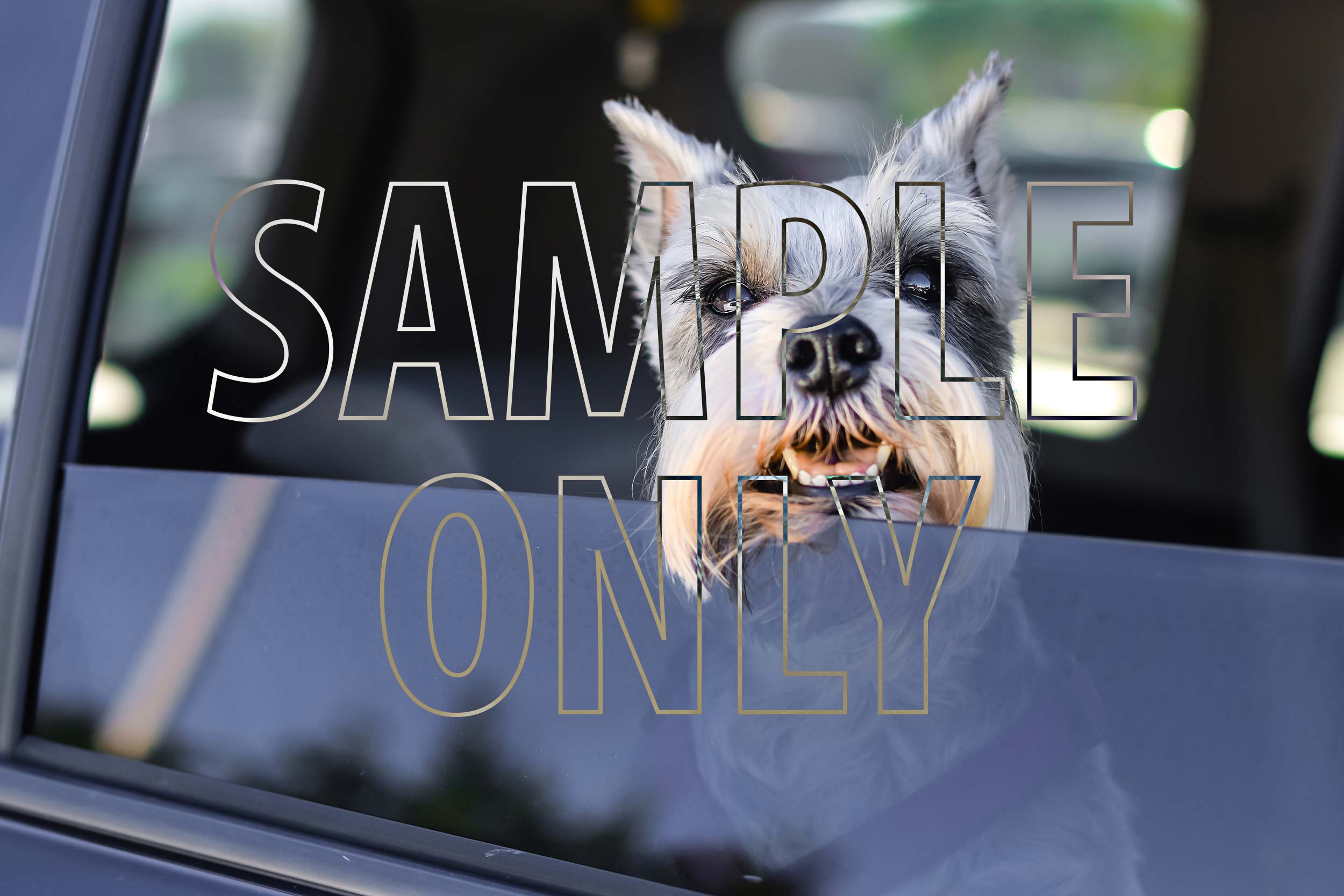 Window Tinting Quote Template Quotient